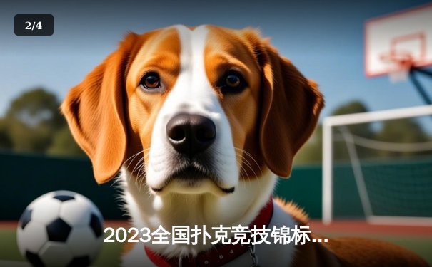 2023全国扑克竞技锦标赛：上海选手王浩斩获炸金花项目金牌 - 2
